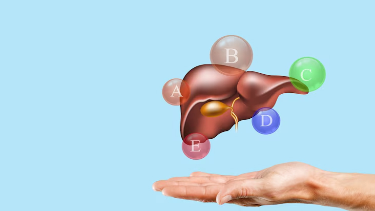 Liver Functions: Problems, Symptoms, Causes, & Treatment