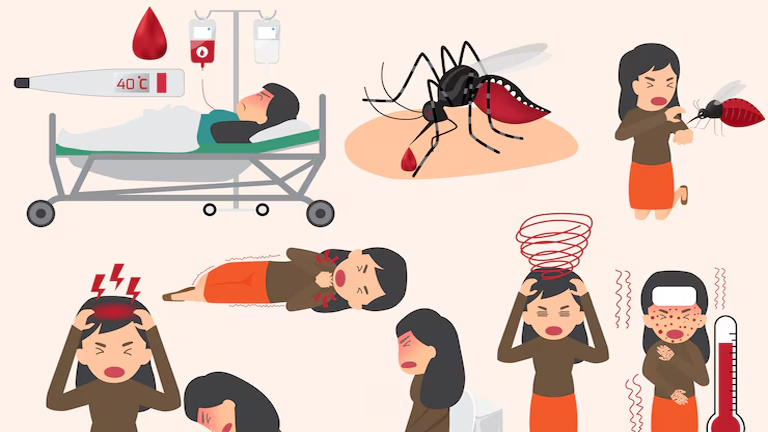 Dengue Fever
