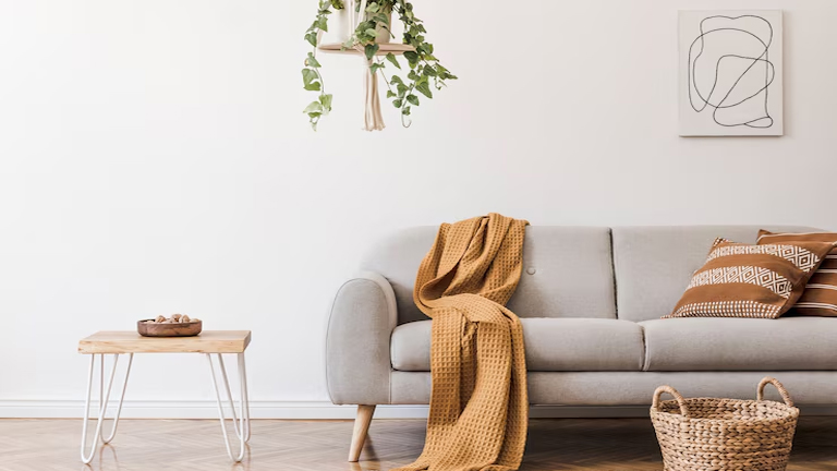 Minimalist Living