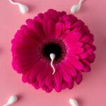 Women's Reproductive Health