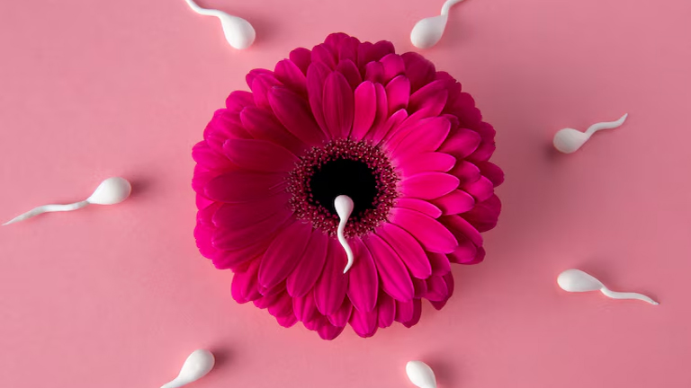 Women's Reproductive Health