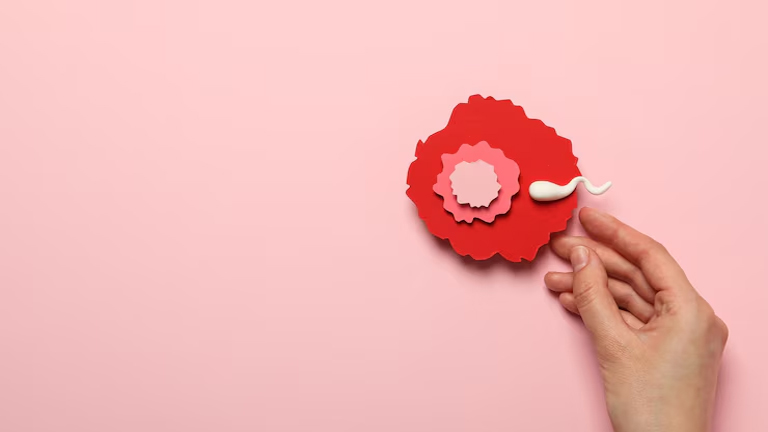 Women's Sexual Health