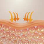 Collagen