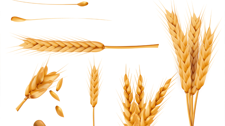 Gluten-Free