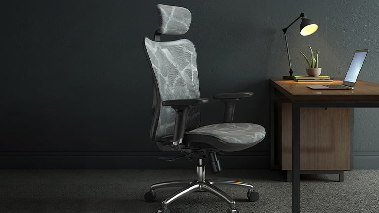 Best Ergonomic Office Chair for Lower Back Pain