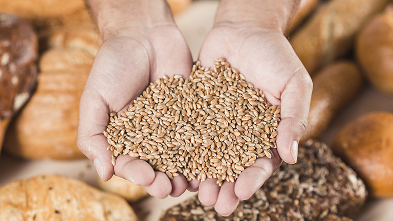 Gluten-Free Meal Plan for Weight Loss