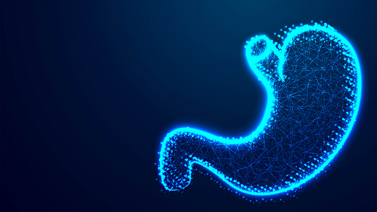 How Can I Improve My Gut Microbiome?