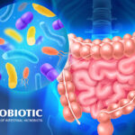 Probiotic for Gut Health