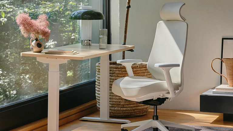 Best Ergonomic Office Chair for Back Pain: Top Picks for Comfort