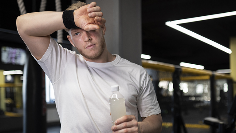 best protein shakes for muscle gain beginners