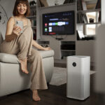 Best Humidifier for Sinus Congestion