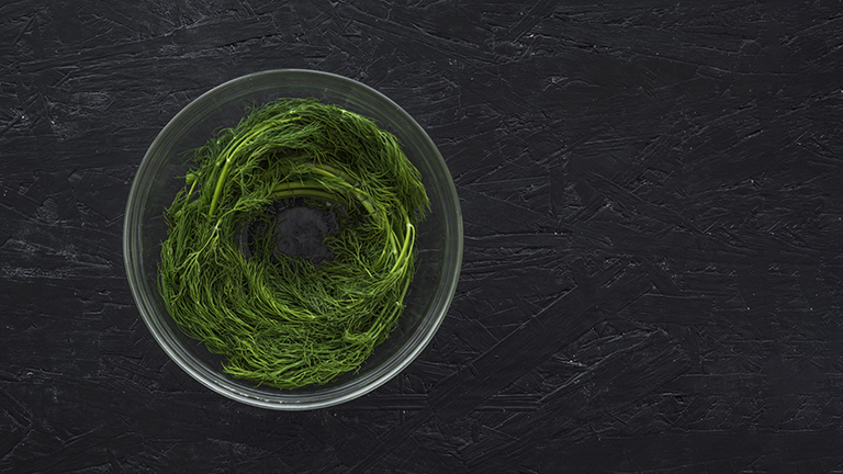 Health Benefits of Spirulina