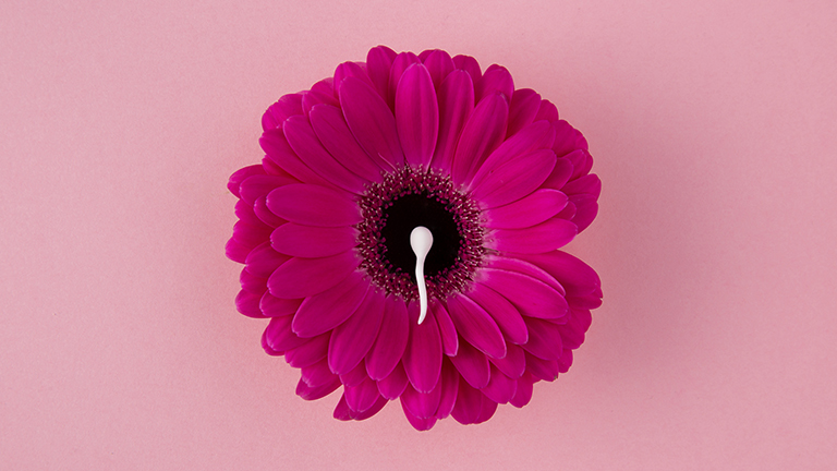 Vaginismus Causes