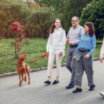 Walking Benefits for Heart Health