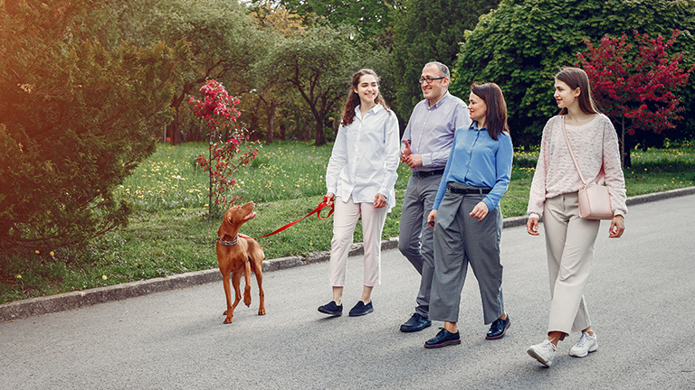 Walking Benefits for Heart Health