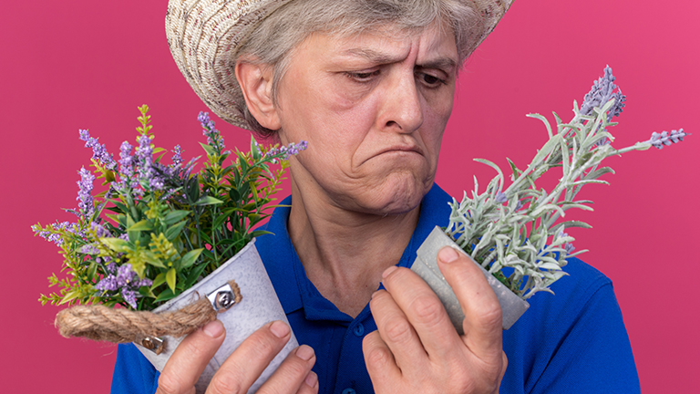 natural remedies for memory loss