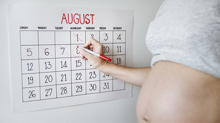 pregnancy due date calculator