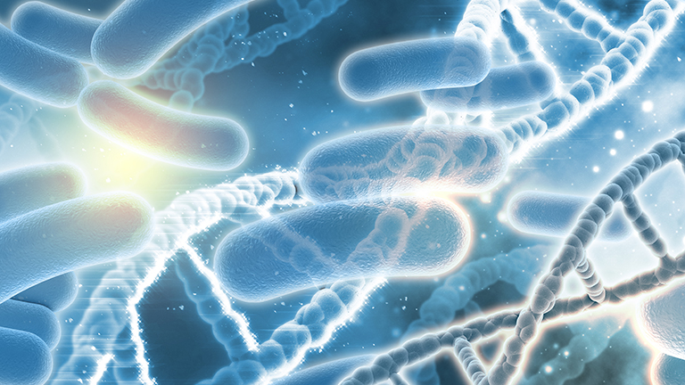 Healthy Gut Bacteria
