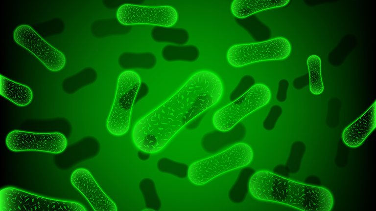Healthy Gut Bacteria